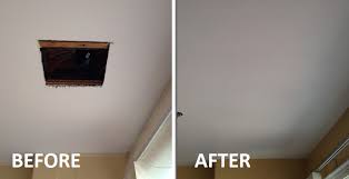 Professional home maintenance and repair services in Windermere - Pro Drywall and Home Maintenance